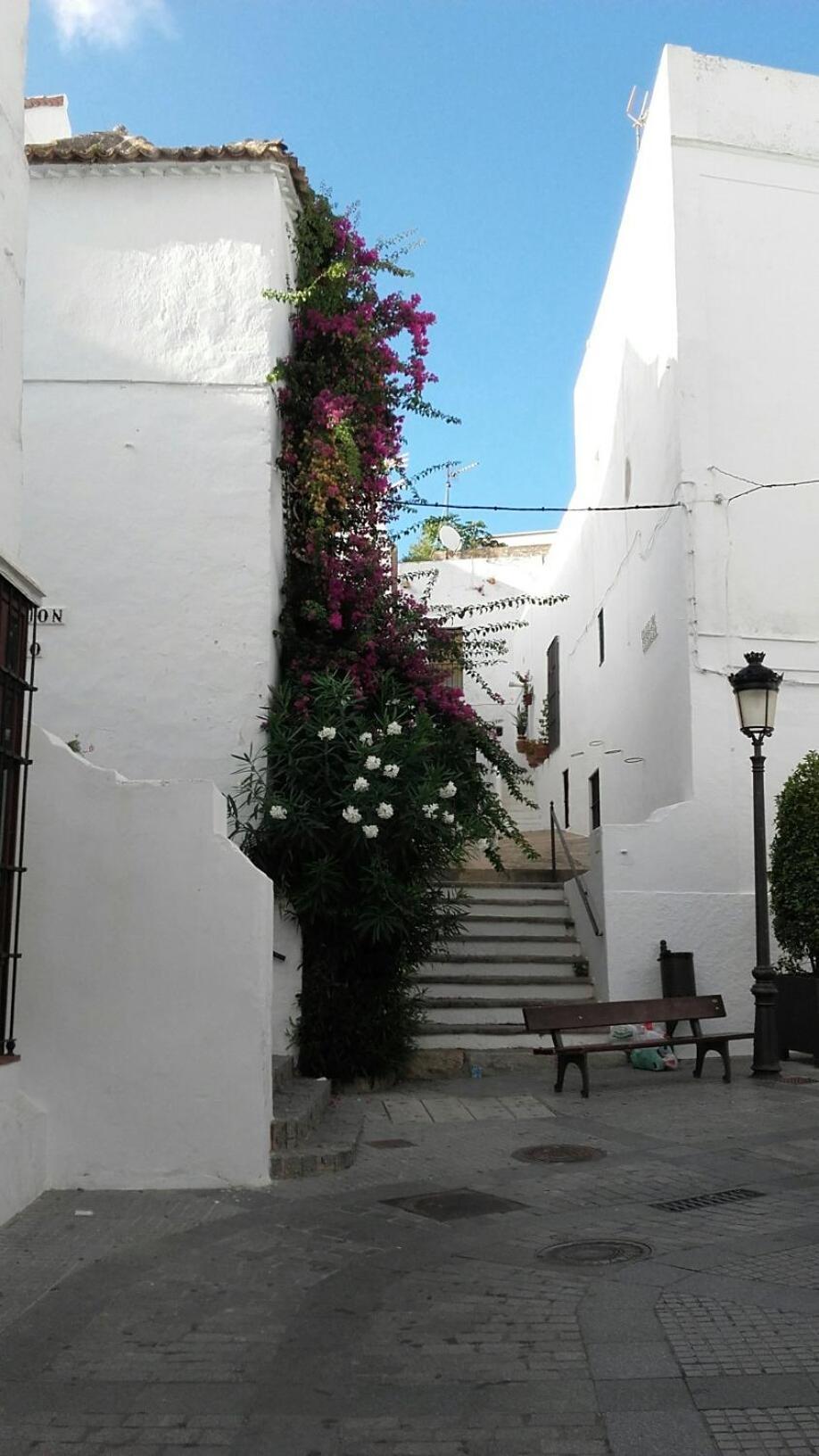 Casa Calle Alta Maria Bajo 贝赫尔-德拉弗龙特拉 外观 照片
